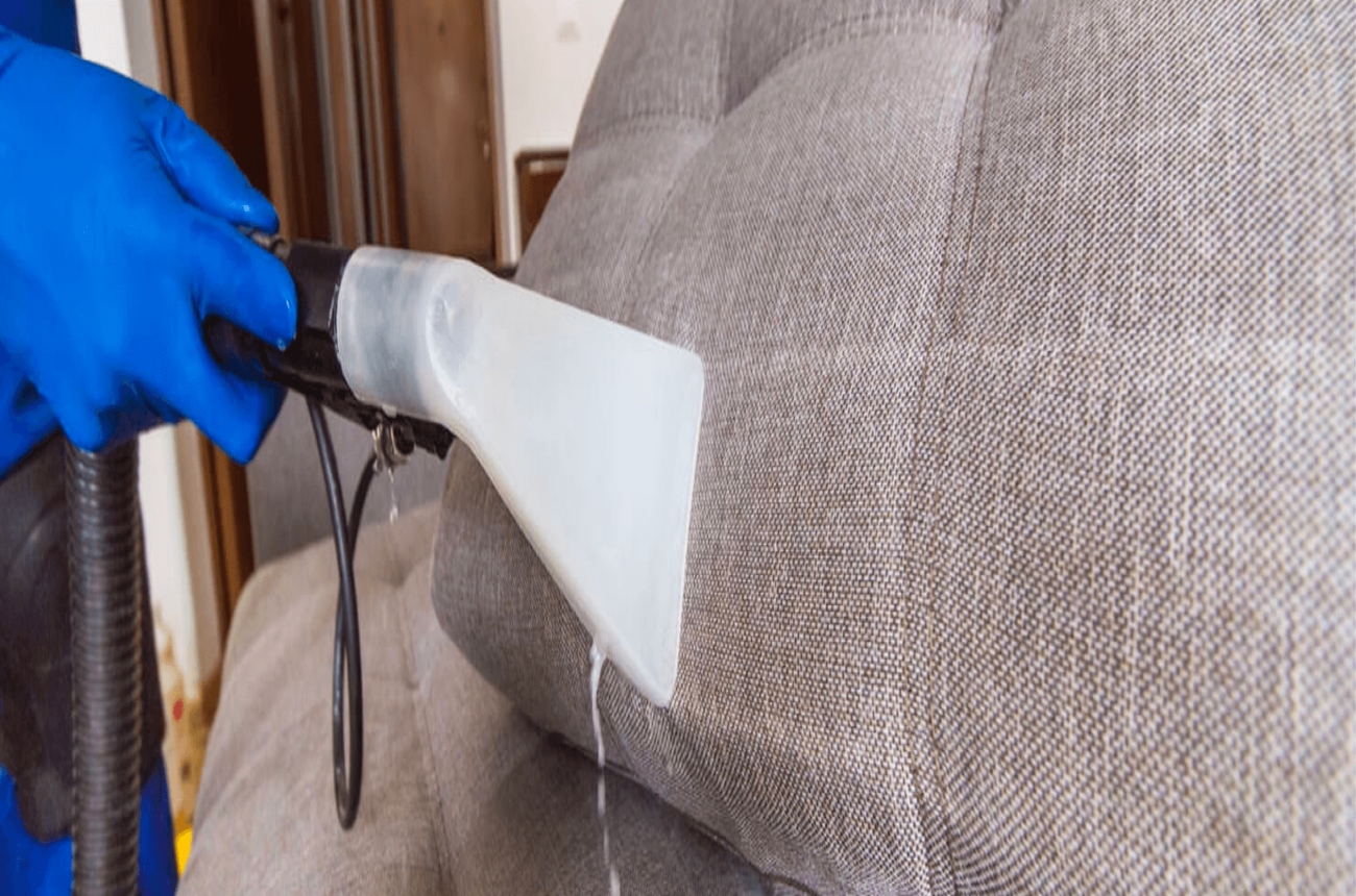 Evcil Hayvan Besleyenler İçin Koltuk Temizliği